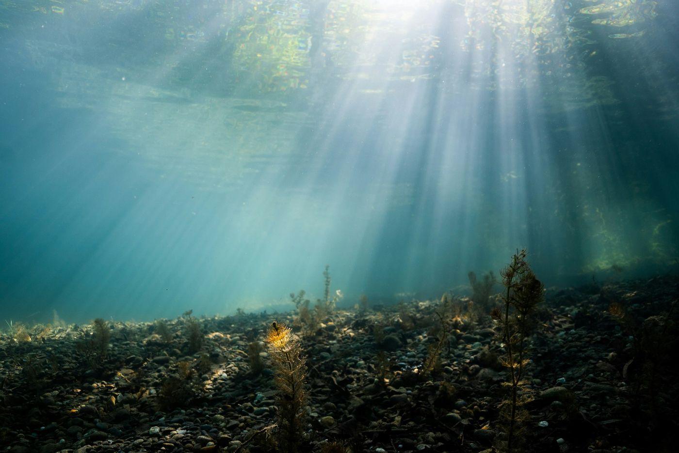 Shafts of sunlight falling through deep blue open ocean water